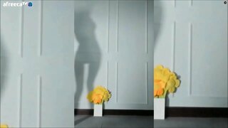 секси сянка